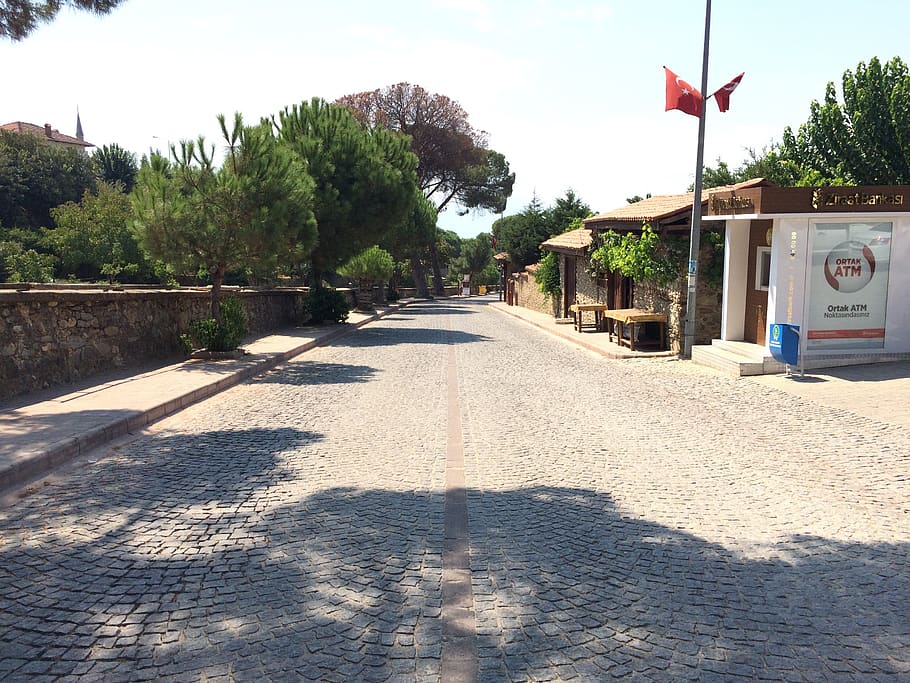 turkey, birgi, road, trees, atm, izmir, houses, village, plant HD wallpaper