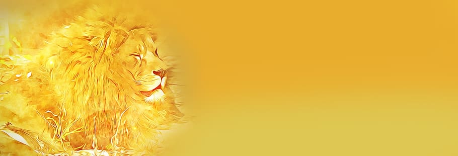 banner, digital, graphics, lion, yellow, yellowish, in the wild