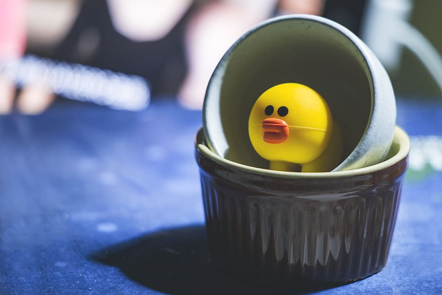 Yellow Duckling in White Container on Blue Textile, close-up HD wallpaper