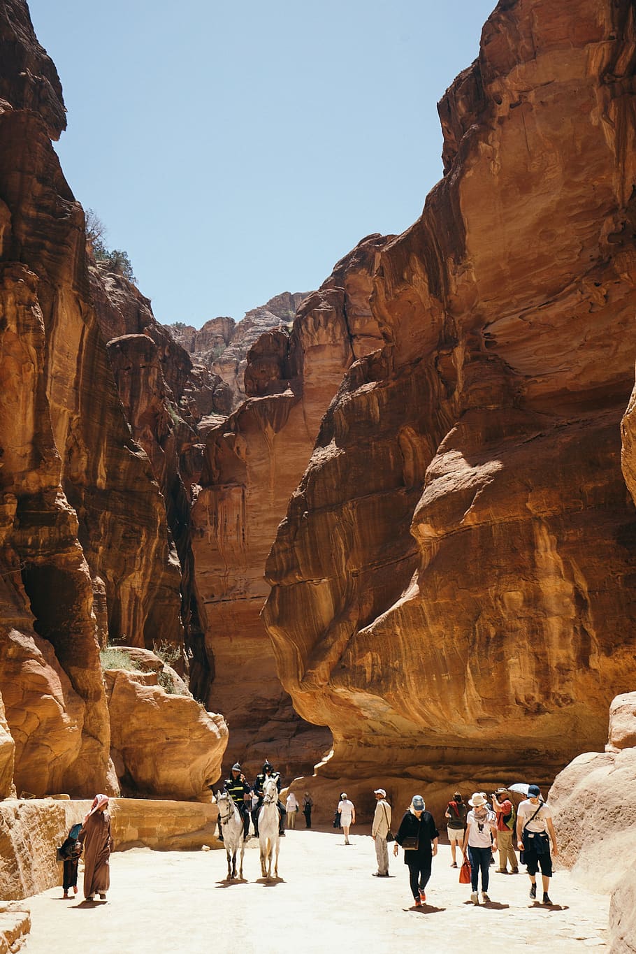 jordan, petra, sony, desert, mountains, horses, dry, sky, rocks, HD wallpaper