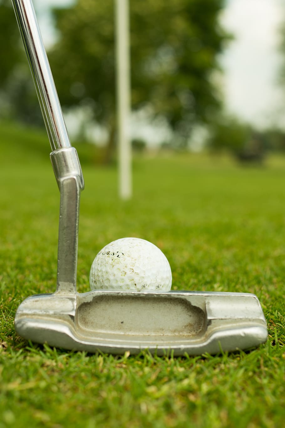 golf, ball, putter, green, sports, grass, plant, golf ball HD wallpaper