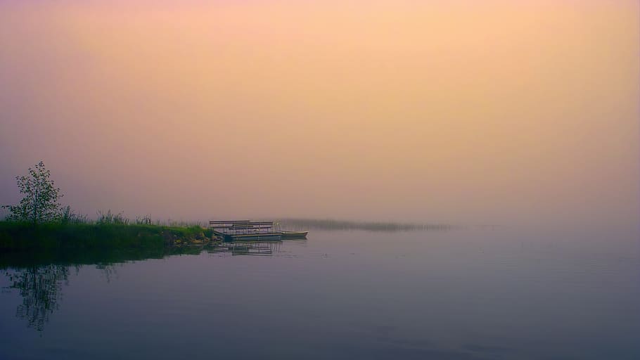 Calm Body of Water, beach, daylight, dusk, evening, golden sun HD wallpaper