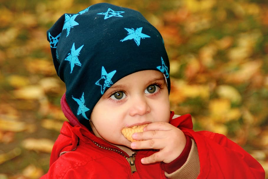 cute, cuteness, human, activity, kid, child, portrait, headshot HD wallpaper
