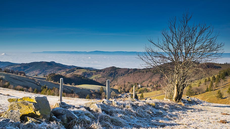 distant view, mountains, landscape, nature, panorama, outlook HD wallpaper