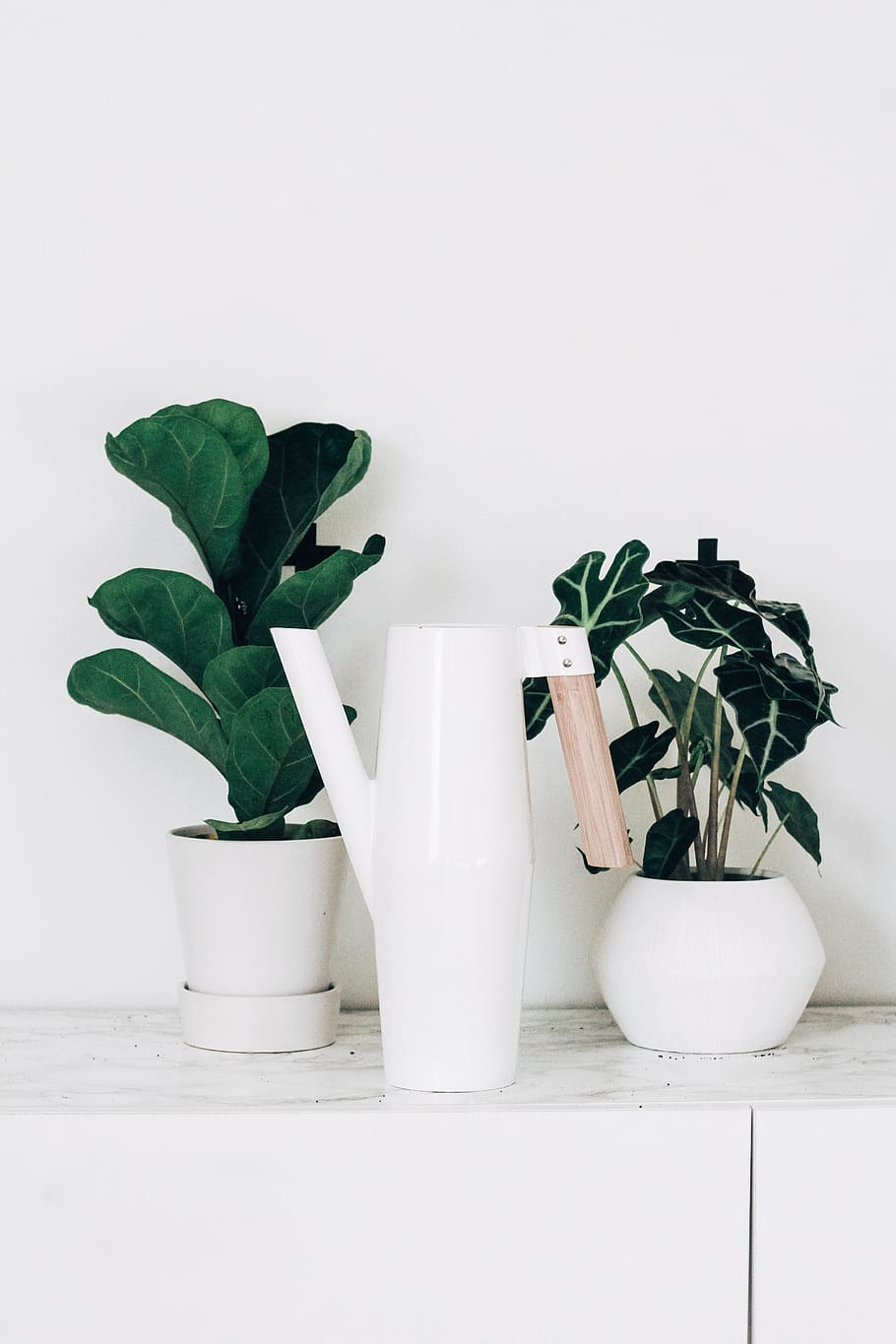 three plants vases, leaf, green, watering can, potted plant, pottery HD wallpaper