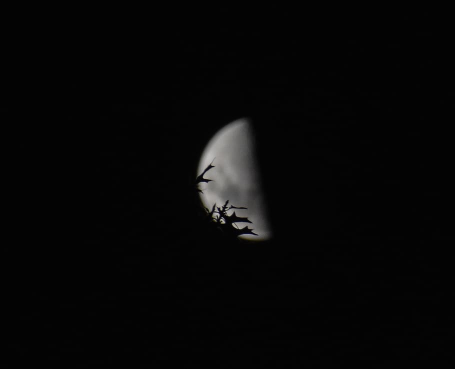 nature, outdoors, space, night, universe, outer space, moon HD wallpaper