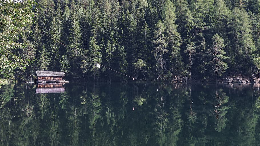 nature, water, lake, reflection, cabin, cottage, house, forest HD wallpaper