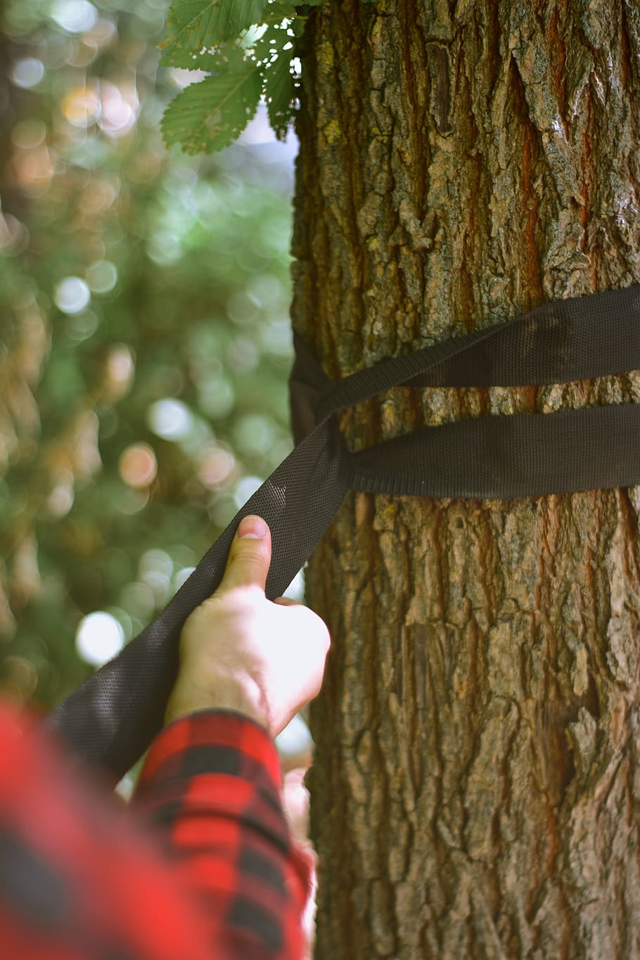 spain, cáceres, tree, green, bokeh, hand, relax, ataching HD wallpaper