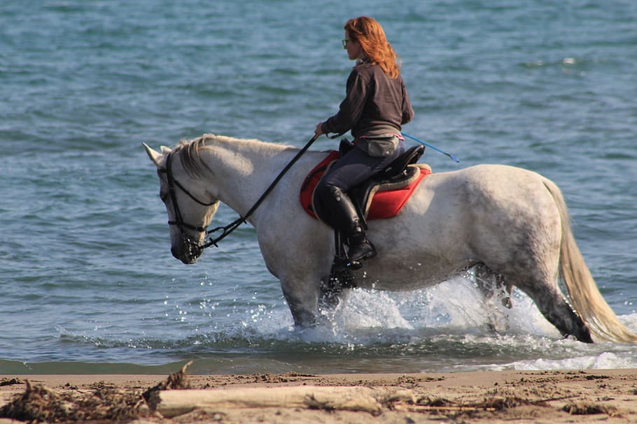 Woman riding horse at seashore
