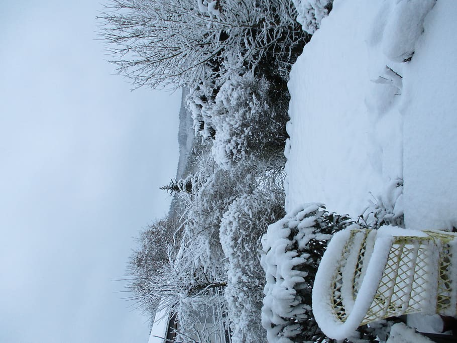 germany, herborn, winter, snow, silence, cold temperature, tree HD wallpaper
