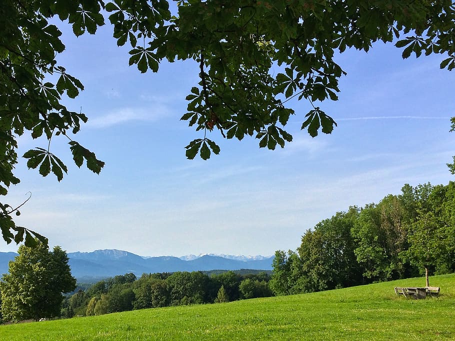 germany, alps, mountains, spring, view, hills, trees, bavaria HD wallpaper