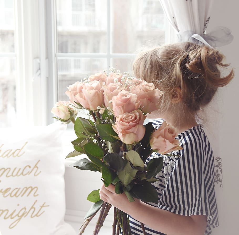 pink roses, flower, flowering plant, flower arrangement, bouquet HD wallpaper