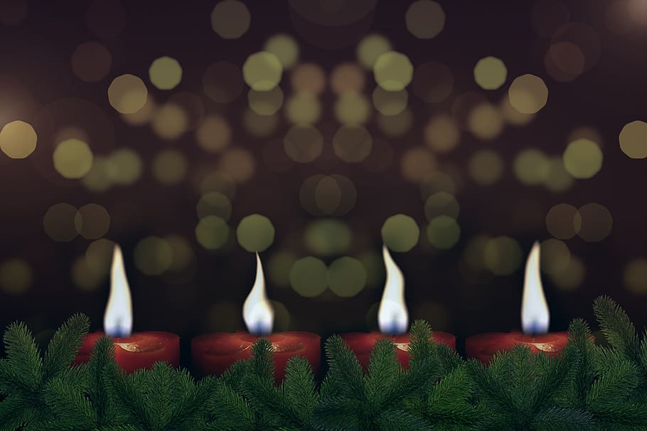 candles, christmas, advent, light, burn, shining, advent wreath HD wallpaper