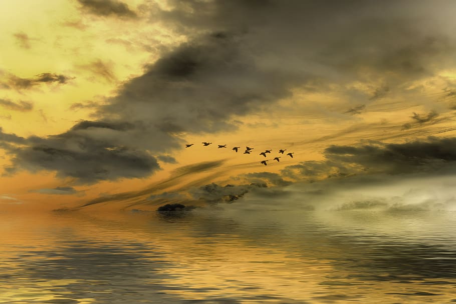sunset, clouds, sky, horizon, silhouette, orange, cloud - sky HD wallpaper