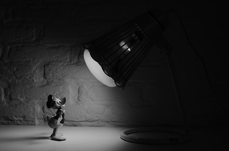 Grayscale Photography of Donald Duck in Front of Lamp, black-and-white
