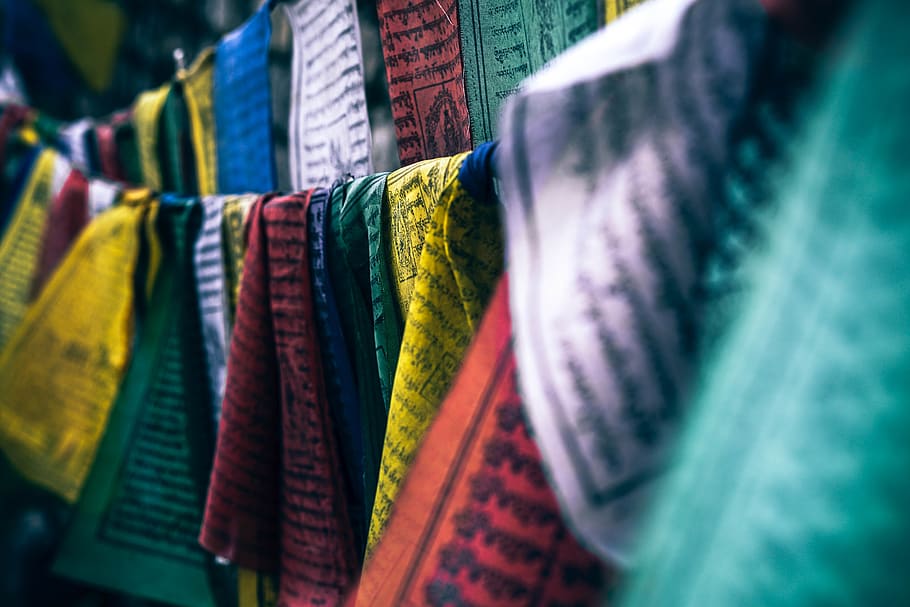 assorted textile lot, retail, clothing, hanging, choice, variation HD wallpaper