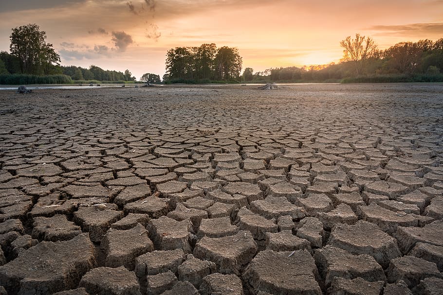 drought, cracks, dry, landscape, mud, dehydrated, lack of water, HD wallpaper