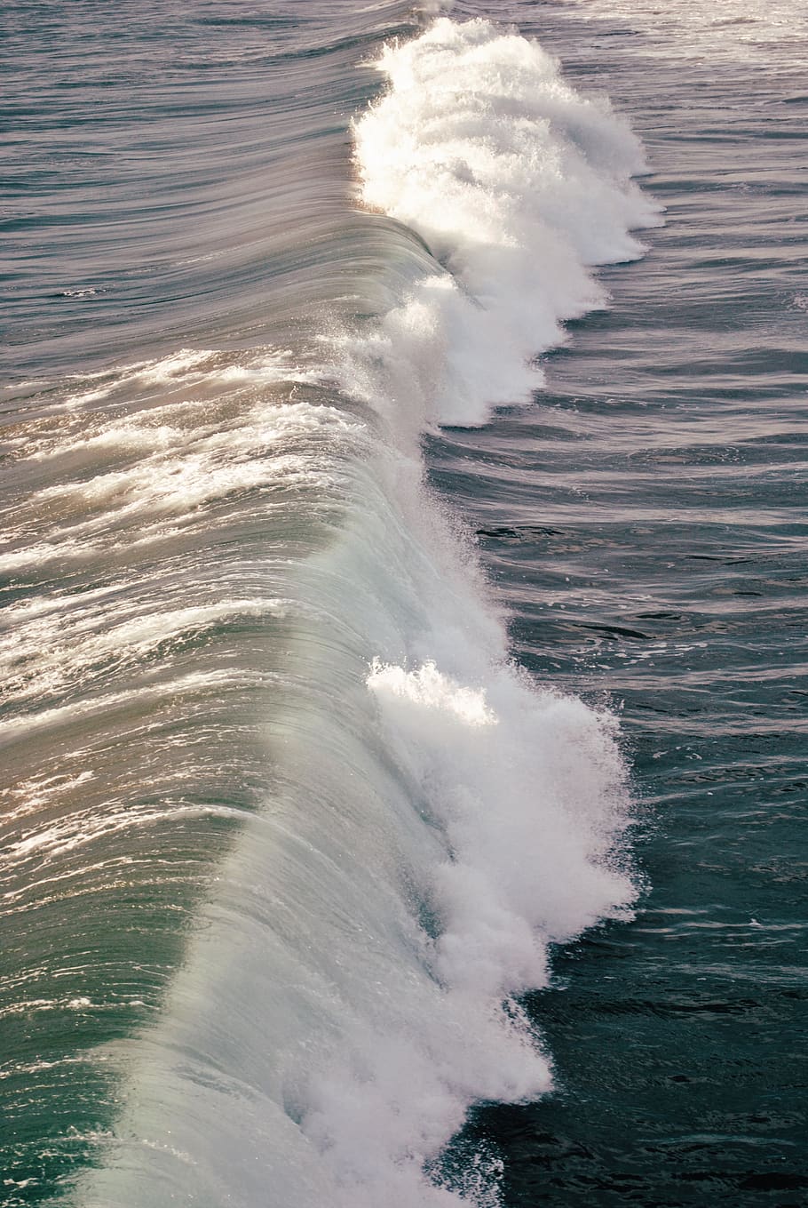 ocean waves, outdoors, sea, nature, water, sea waves, bird, animal HD wallpaper