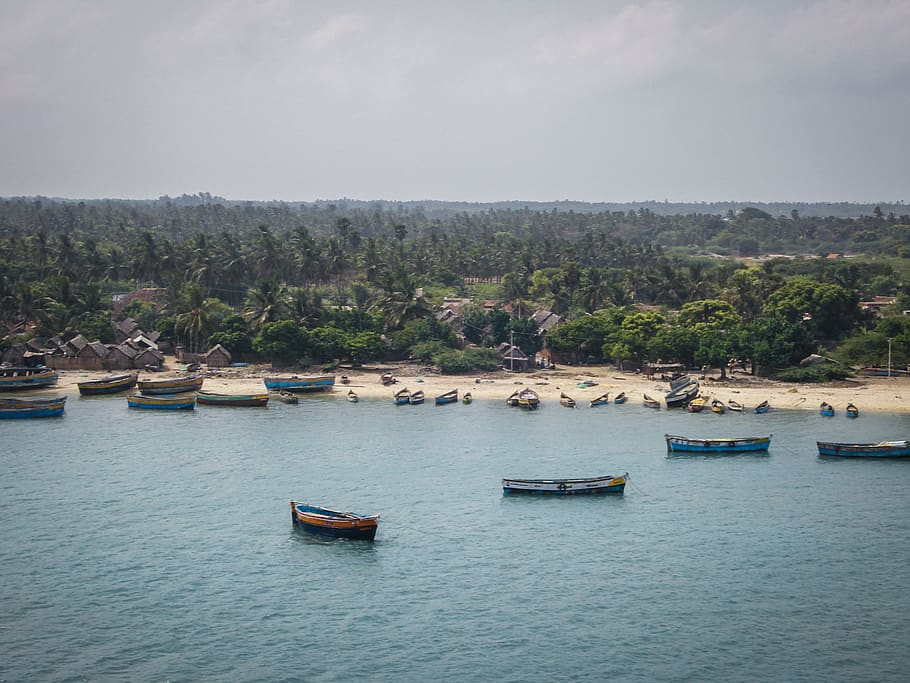 trees, forest, sea, ocean, aqua, blue, teal, boats, horizon HD wallpaper