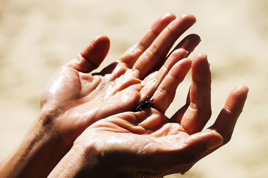 angola, mussulo, belas, beach, sea, sun, human hand, human body part