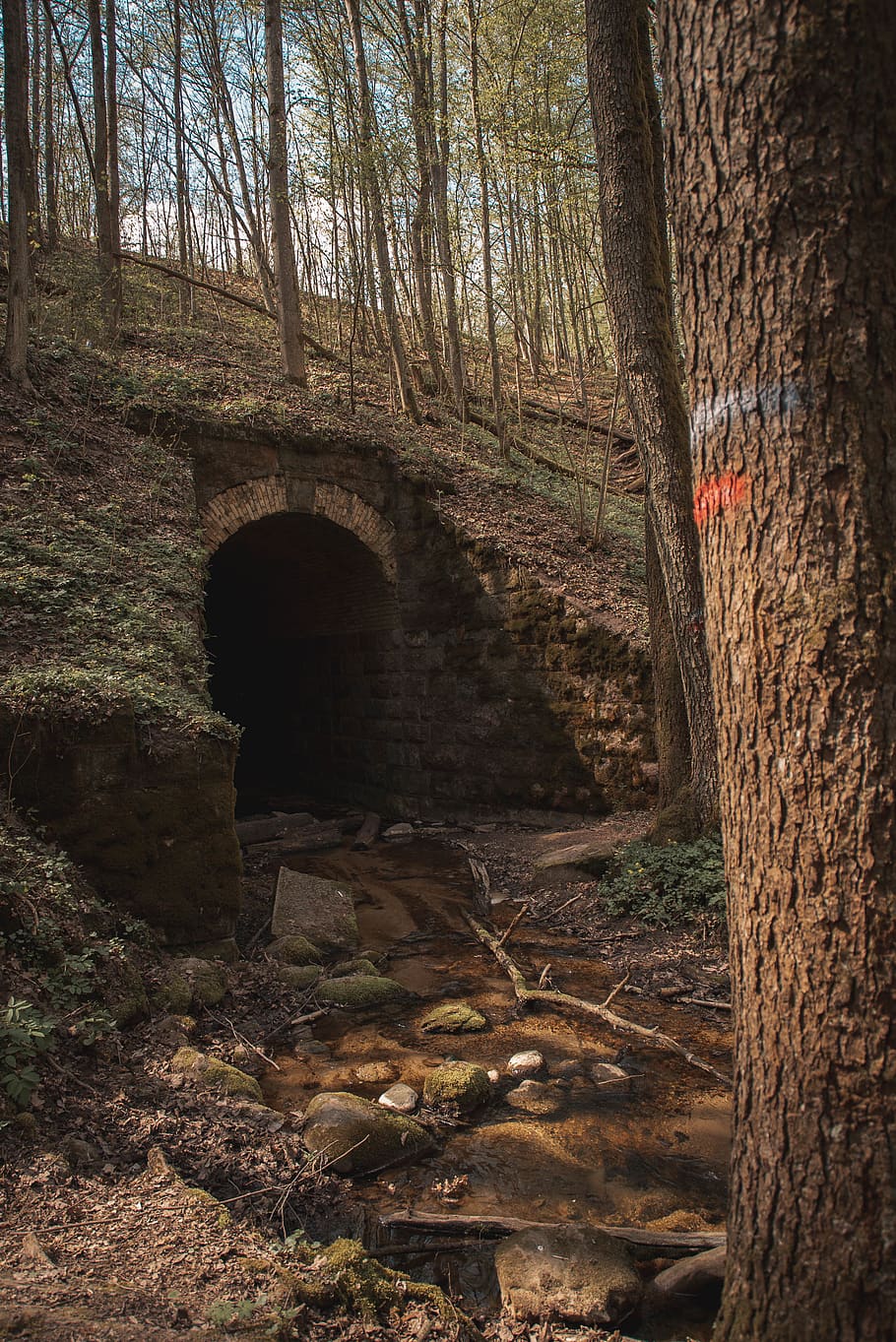 lithuania, alytus, building, bunker, plant, nature, crypt, sun HD wallpaper