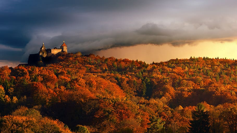 White Castle On Top Of Mountain, dawn, trees, cloud - sky, architecture HD wallpaper