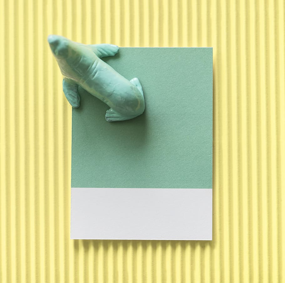Green and White Paper, animal, art, background, blank, blank space HD wallpaper