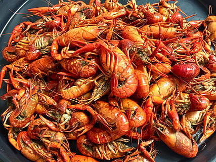 crawfish, seafood, crayfish, cajun, louisiana, shellfish, crustacean HD wallpaper