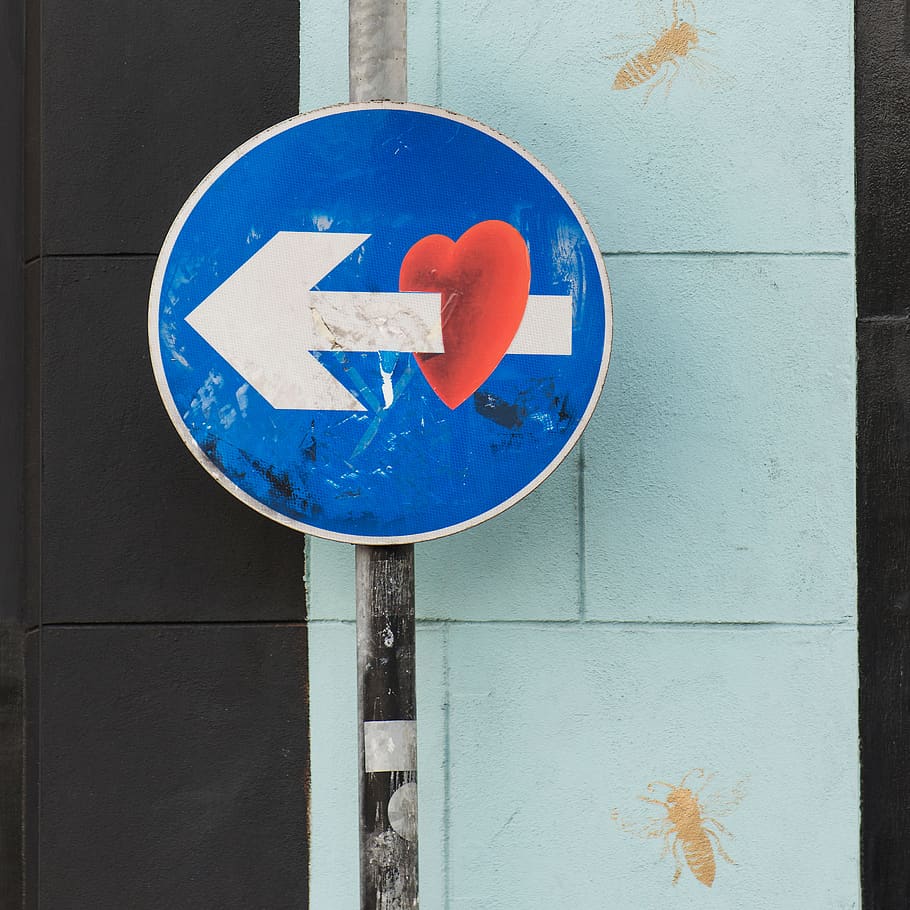 blue, sign, communication, no people, day, road sign, guidance HD wallpaper