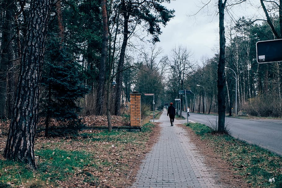 germany, wünsdorf, forest, sidewalk, walking, street, adventure HD wallpaper