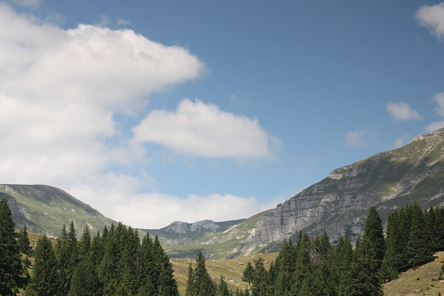 landscape, summer, stone, babele, mountain, bucegi, romania HD wallpaper