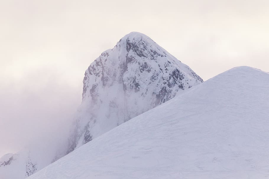 mountain, cold, snow, winter, snow-covered, wintry, eiskristalle HD wallpaper