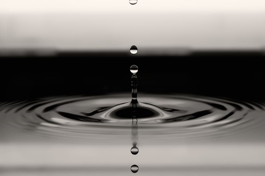 HD wallpaper: water drop and ripple, motion, close-up, falling, no ...