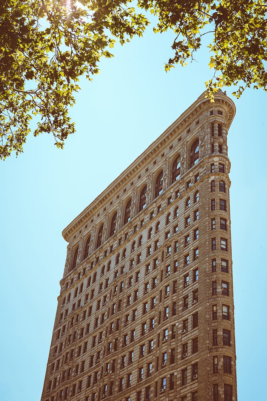 Flatiron Building, New York during daytime, tree, sky, blue, traditional design HD wallpaper