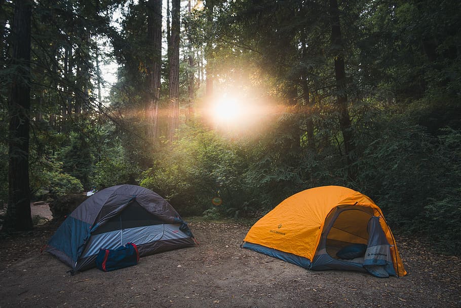 two gray and orange tents between forest, camping, tree, sun HD wallpaper