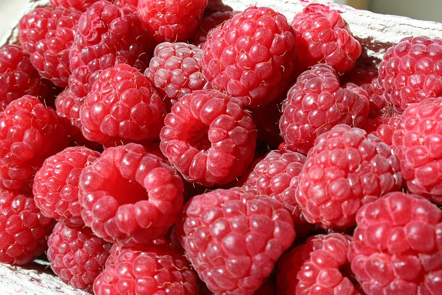 raspberry, dessert, fruit, healthy, food, delicious, juicy HD wallpaper