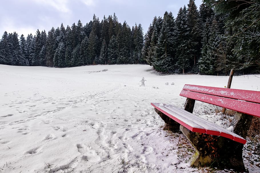winter, snow, bank, bench, seat, rest, away, traces, cold, forest HD wallpaper