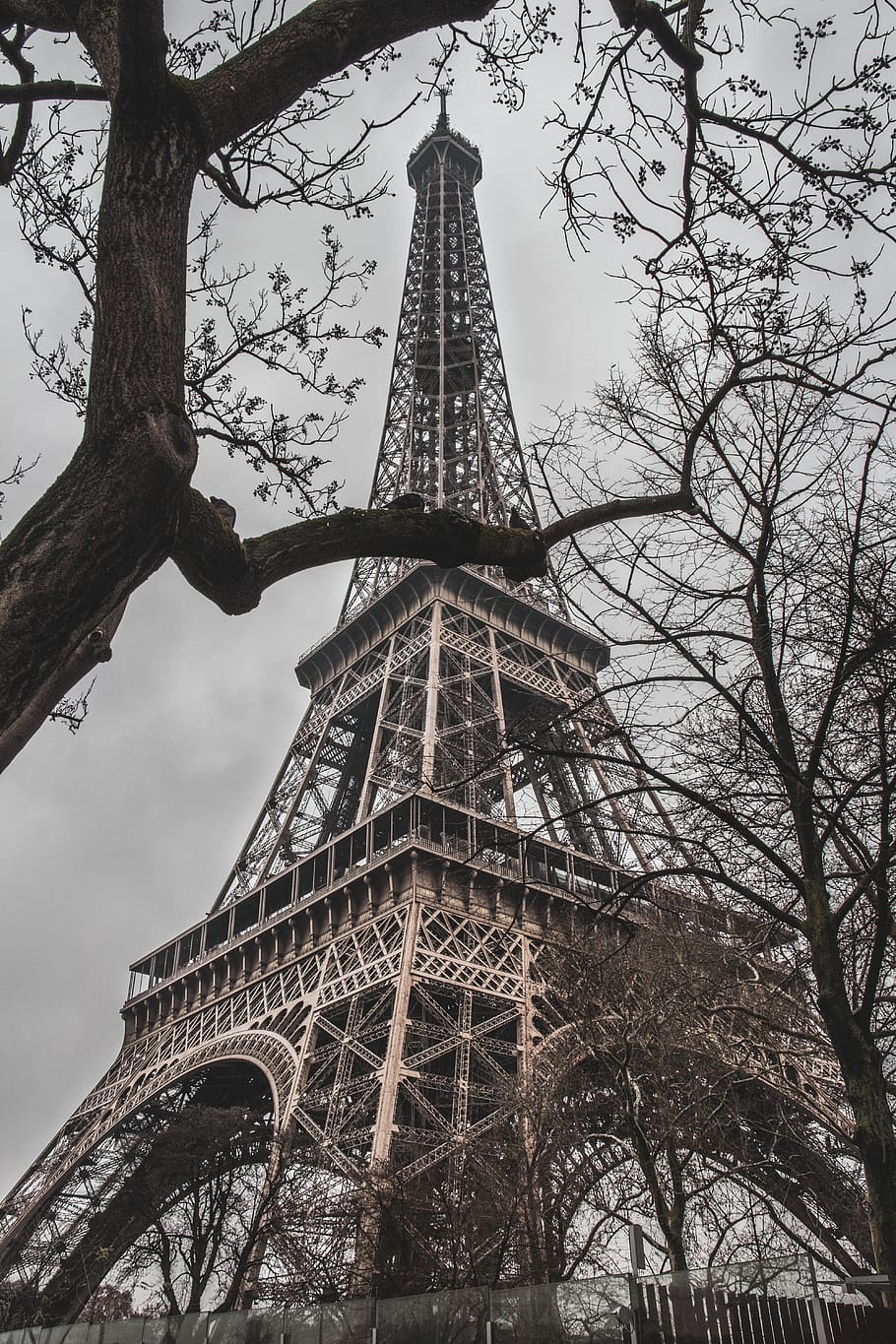 steeple, tower, architecture, spire, building, plant, tree HD wallpaper