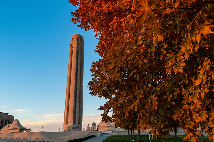 brown leafed trees, plant, sky, autumn, nature, architecture HD wallpaper