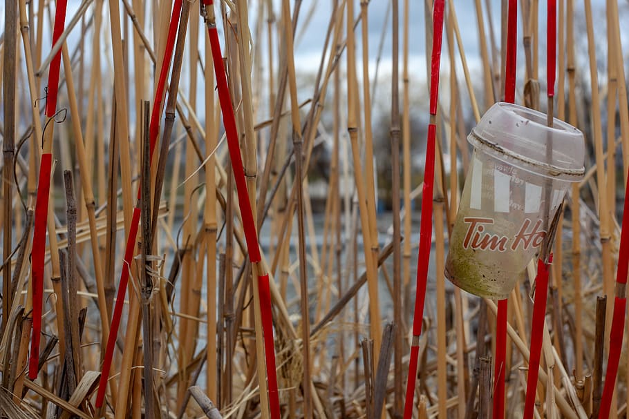 garbage, plastic, beach, pollution, straws, red, no people HD wallpaper