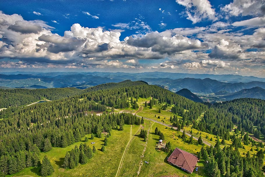 Scenic View of Rural Landscape, clouds, cloudscape, conifers HD wallpaper