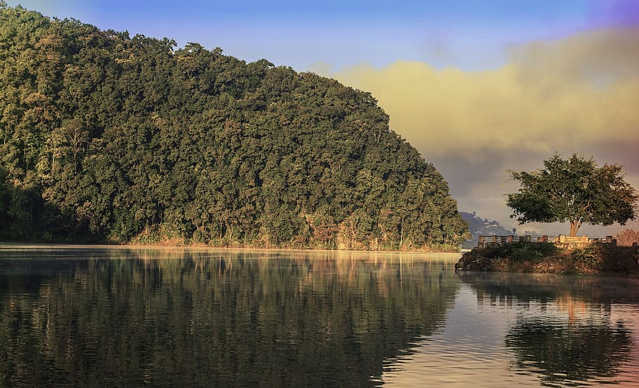 Mountain Covered With Trees Near Body of Water, clouds, daylight HD wallpaper