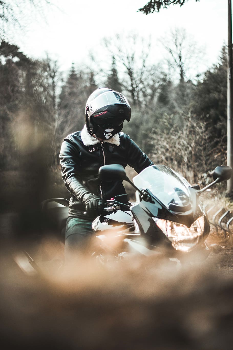 man riding motorcycle, helmet, real people, headwear, tree, leisure activity HD wallpaper