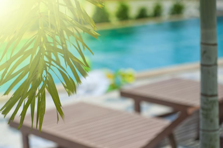 Green Leaf Tree, background, ball, beach chairs, blur, garden HD wallpaper