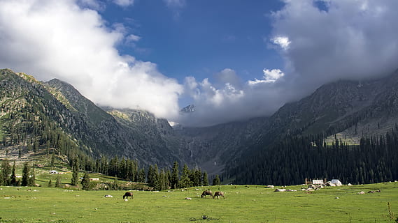 meadows, upperdir, kpk, mountain, range, grounds, green, sky HD wallpaper