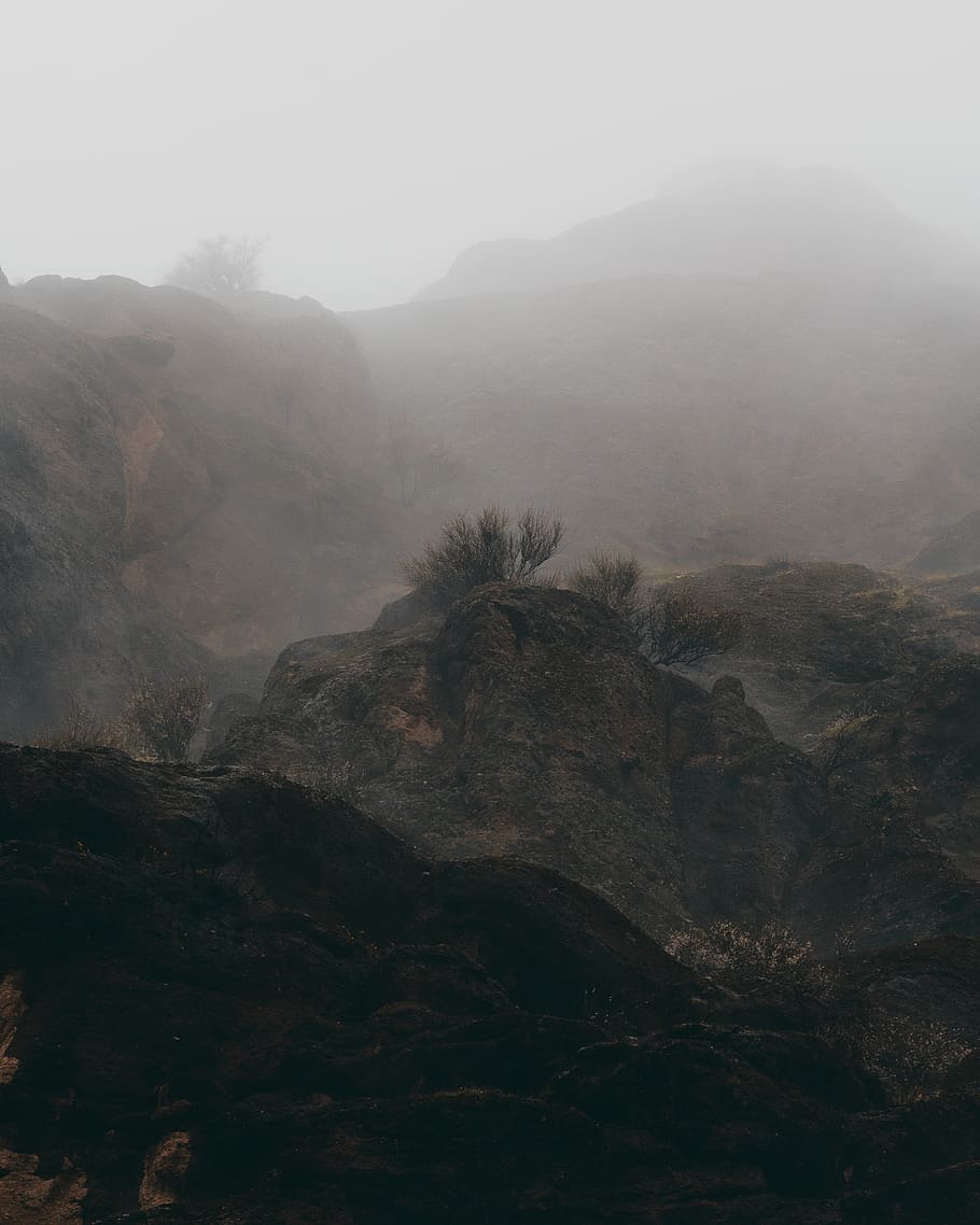 mountain at daytime, fog, scenics - nature, tranquility, tranquil scene HD wallpaper