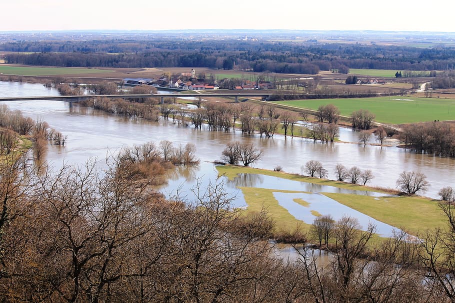 river, danube, high water, flood, flooding, rain, plant, lake HD wallpaper