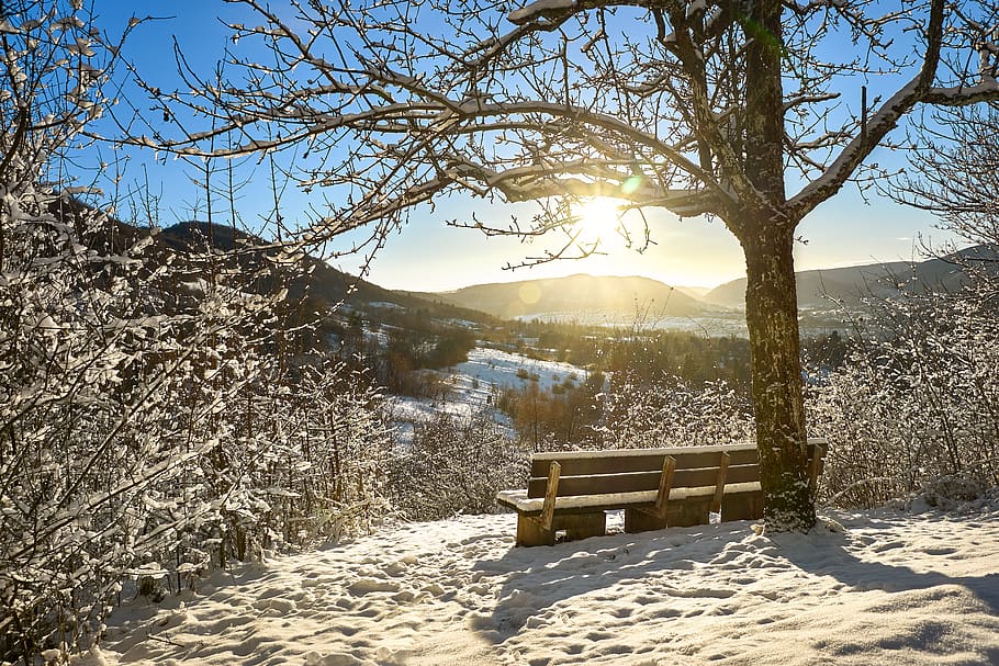 tree, nature, landscape, winter, sky, snow, season, schönwetter, HD wallpaper