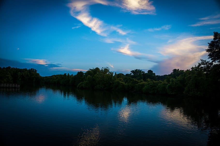 marsh, sunset, sky, trees, lake, water, tranquility, plant HD wallpaper