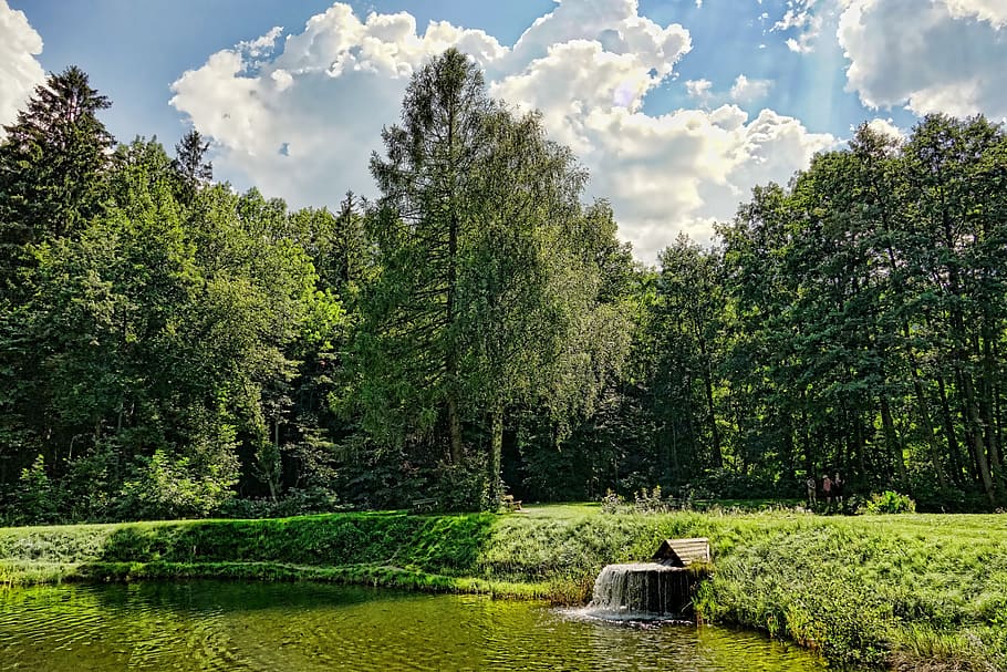 nature, forest, pond, bach, landscape, clouds, wood, water HD wallpaper
